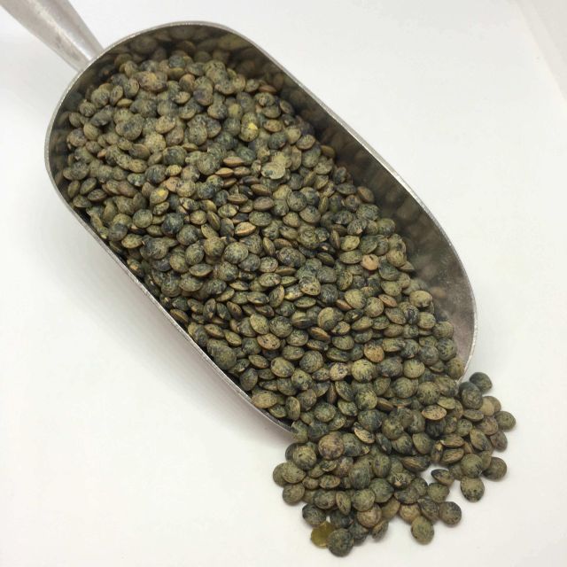 Natural Farm Harvest Green Lentils For Food Processing Industry Green Lentils Provide Rich Protein Source For International Trade - Image 4