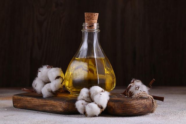 Premium Quality Cottonseed Oil Wholesale Trade Plant Rapeseed - Image 4
