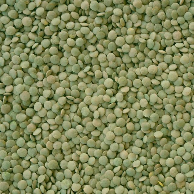 Fresh Green Lentils Wholesale Green Lentils Premium Bulk Supply High Quality Available For Export - Image 2