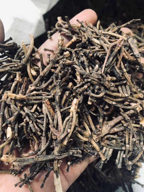 Clove Stems - Image 2