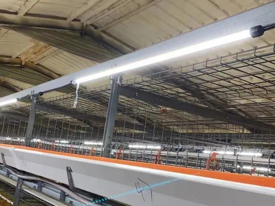 Green Lighting 6.5W IP67 LED Poultry Light Tube for Poultry Farm - Image 5
