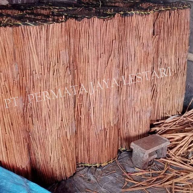 Cinnamon Stick - Image 3