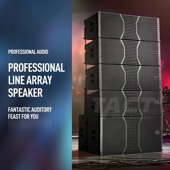 Tact Professional PA Speaker Set Dual-12 Inch Line Array Speaker Systems - Image 2