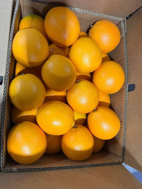 Class 1 Fresh Navel Orange Export - Image 3