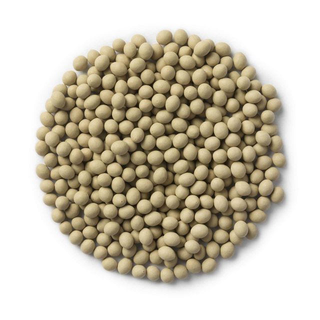 Pure White Peas Fresh White Peas Natural White Peas for Wholesale Supply and Global Distribution - Image 3