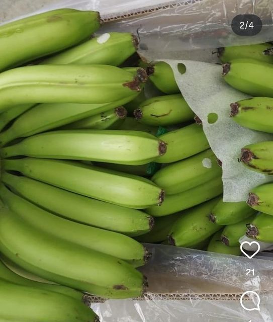 GRADE A BANANAS - Image 4