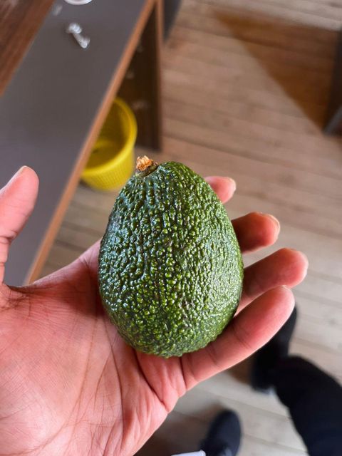 Fresh hass Avocado – product photo 1, product detail gallery