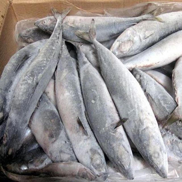 Premium Export Frozen Atlantic Salmon Top Quality Seafood for International Trade Wholesale and Bulk Buyers - Image 3
