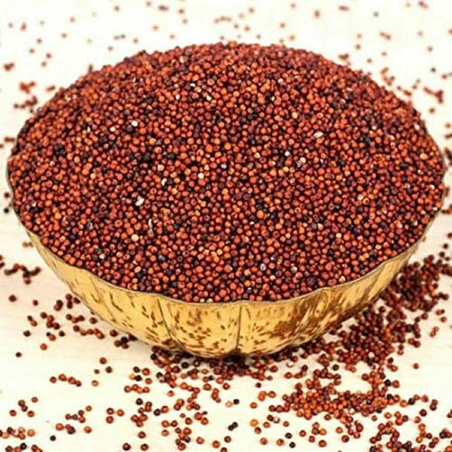 Factory price finger millet wholesale premium grade millet bulk shipment ready - Image 3