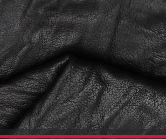 Finished Leather - Image 1