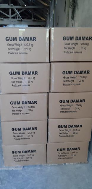 Gum Damar CDX - Image 1