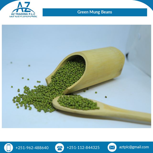 Optimum Quality Machine Cleaned Ethiopian Green Vigna Beans Mung Beans at Wholesale Price 97.5% Min 0.2% Max 0.5% Max 1.5% Max – product photo 5, product detail gallery