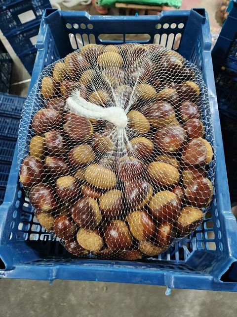 Fresh Chinese export chestnut - Image 2