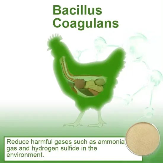 Effective Microorganisms Probiotics Bacillus Coagulans Powder - Image 3