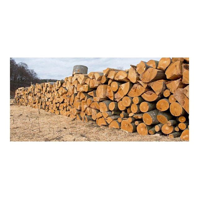 Premium Beech Wood Logs Wholesale Fast Delivery Stock Transport Destination Asia Transport Means Freight Train - Image 4