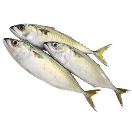 Horse Mackerel Grade A Type frozen Origin Thailand Model Number Dx0125 Shelf Life 12–24 Months Brand Name Frozen Horse Mackerel - Image 2