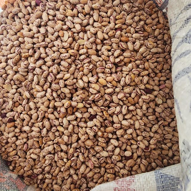 Red speckled sugar beans - Image 1