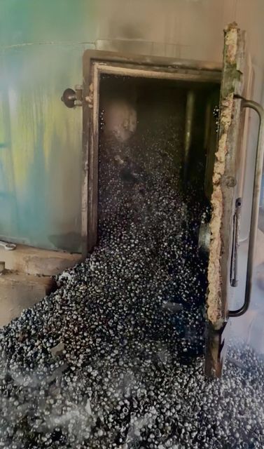MACADAMIA SHELL CHARCOAL - Image 4