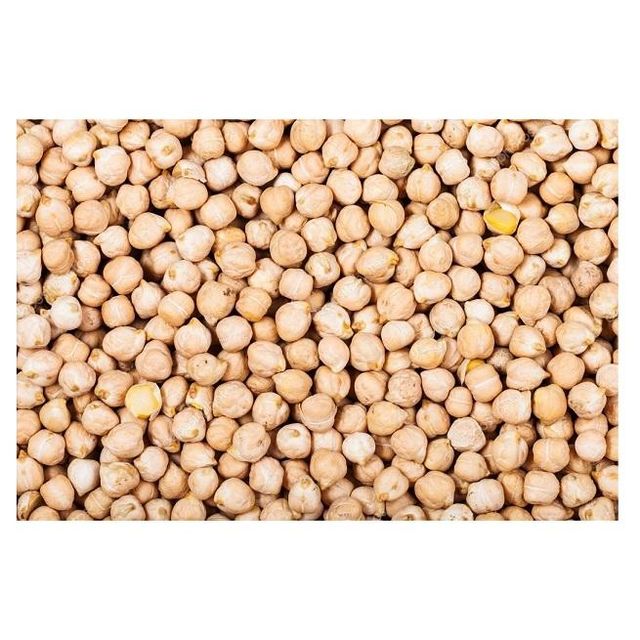 Wholesale Supplier of Natural Quality Organic Dried Chickpeas Bulk Quantity Ready For Export - Image 3