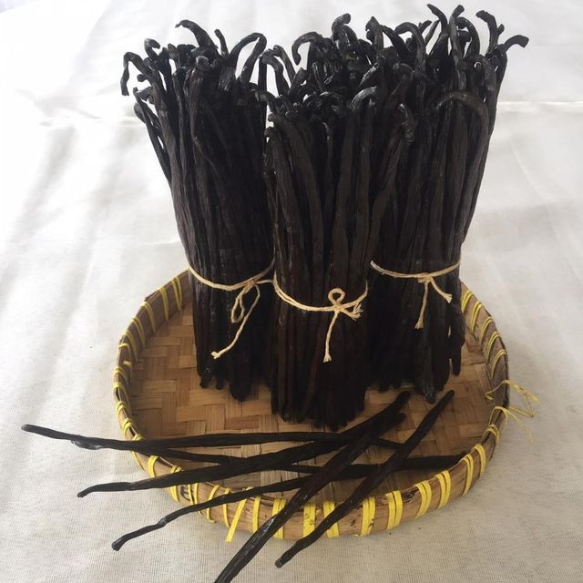 RENDAH PLANIFOLIA GOURMET VANILLA BEANS Super Premium Quality Indonesia Hot Selling Bourbon Vanilla Pods with Reasonable Price - Image 5