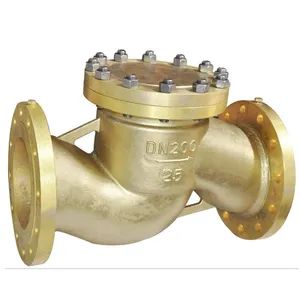 Stainless Steel Non Return Valves Swing Low Temperature Flange Float Check Valve - Image 6