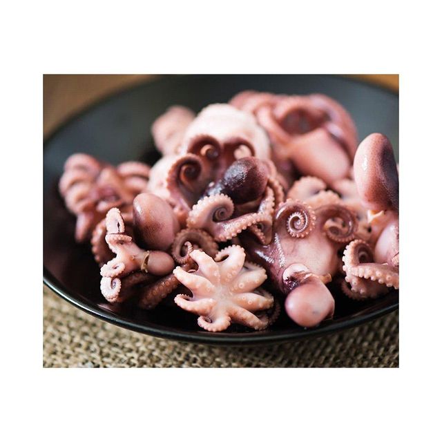 High quality frozen baby octopus whole available for bulk buyers with fast dispatch - Image 3