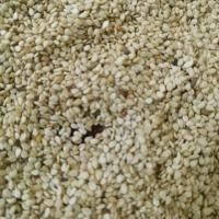 Dried Lotus Seed - Image 1