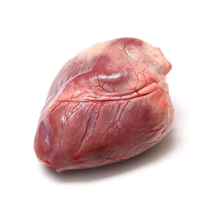 Fresh Frozen Pork Heart Premium Selection Wholesale Price Rich Taste Carefully Packed for Long Lasting Quality Standard - Image 4