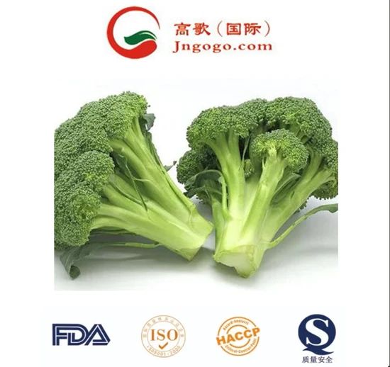 Premium Frozen Broccoli - Super Quality Green Vegetable HS Code 0710809090 Production Capacity 2000 Mts Transport Package - Image 4
