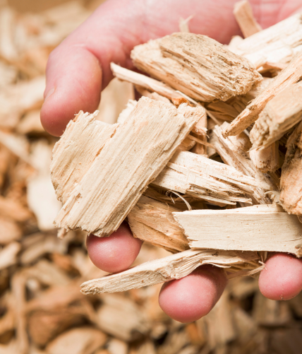 Wood Chips - Image 3