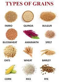 Procurement of Whole Grains - Image 1