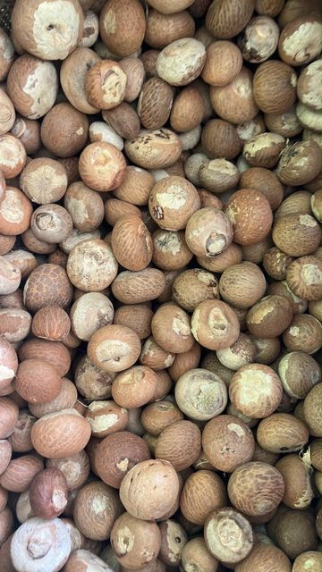 Betel nuts - Image 3