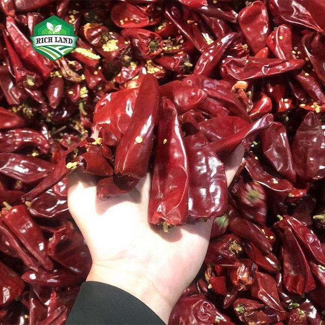 Yidu Dried Red Chili Cut Stem 10kg/25kg Shelf Life 12 Month Packaging 10kg/25kg Drying Process DRIED Place of Origin China - Image 3