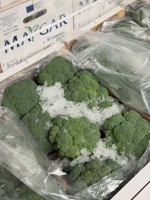 CONSISTENT DELIVERY FRESH FROZEN BROCCOLI PREMIUM QUALITY 10 HEADS PER CARTON BRIGHT GREEN BROCCOLI ON SALE - Image 3