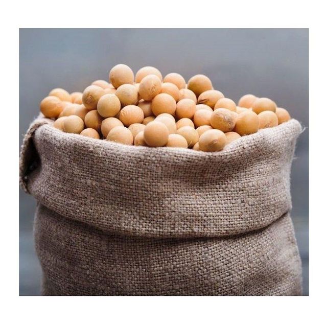 Non Gmo Soybeans / Soya Beans, Soy bean Seeds and Soya bean Seeds - Image 2