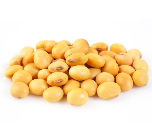 High-Quality Soybean Seeds Purity ≥ 98% Origin Nigeria Admixture ≤ 2% Type soybean seed Damaged Seeds ≤ 1% Foreign Matter ≤ 1% - Image 2