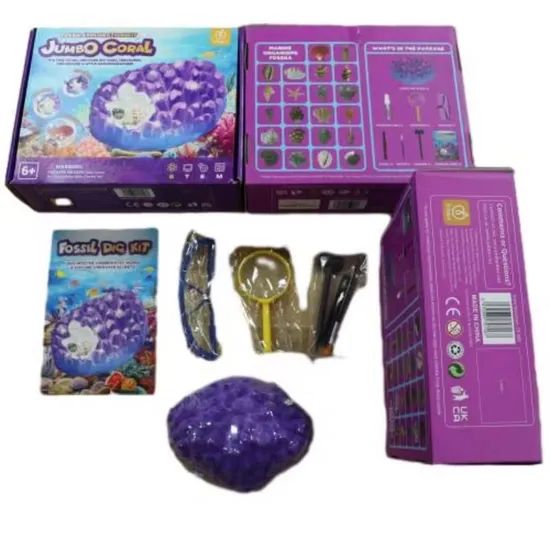 Wholesale Ocean Fossil Kit Science Educational Fossil Collection Gift Dig Kits Toys - Image 5