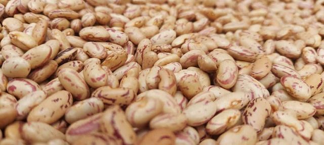 Sugar Beans - Image 1