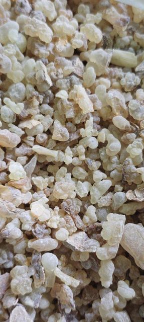 Frankincense Resin Boswellia Carterii (2025 Harvest) Origin Somaliland Grade 3 Grades (A, B, Commercial) Available Grades A, B, And Commercial Grade - Image 1
