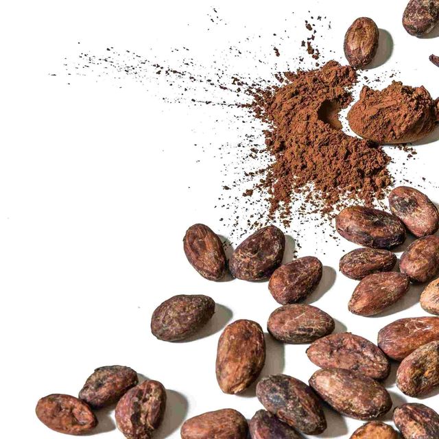 Fresh Cocoa Bean for wholesale premium Cocoa Bean with natural aroma high demand for chocolate and baking purposes - Image 4