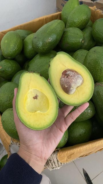 Farm Fresh Avocado Ripe Green Fruit With Smooth Texture And Delicious Flavor For Healthy Eating And Kitchen Preparation - Image 3