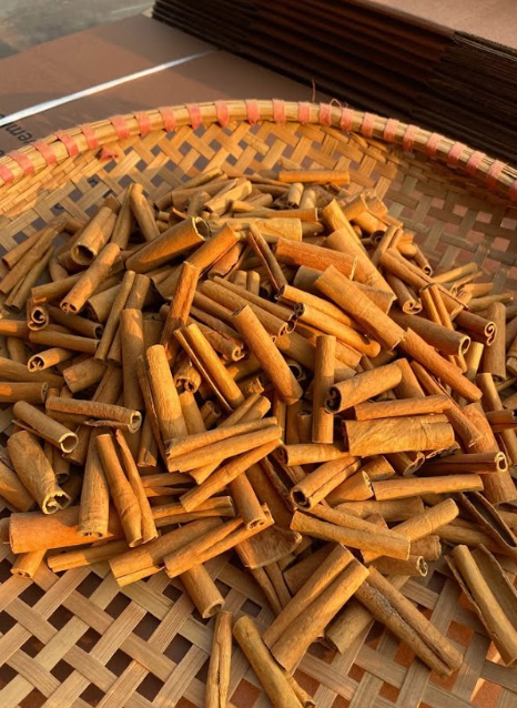 Cigar Cassia Cinnamon - Image 4