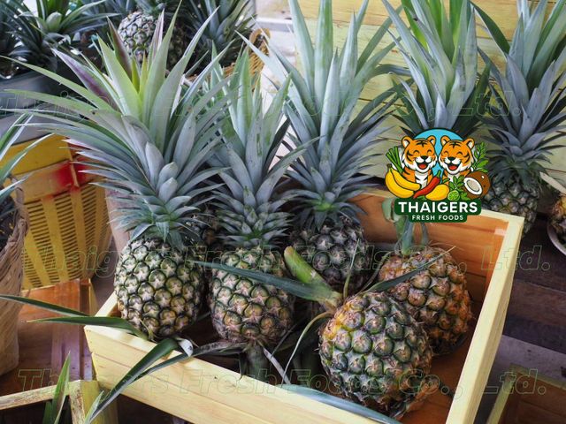 Fresh Pattawia Pineapple - Image 3