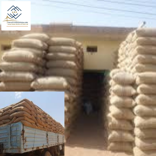 Premium Grade Sudanese Raw Groundnuts In-Shell and Shelled Bold Peanuts - Image 2