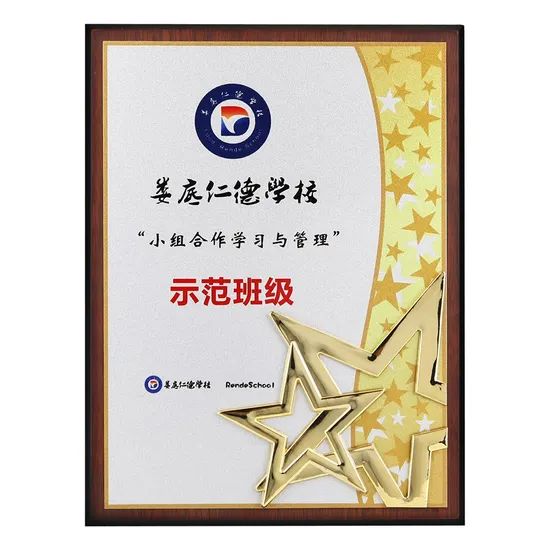 Factory Direct Sales Star Model with Metal Star Design Award Plaque - Image 1
