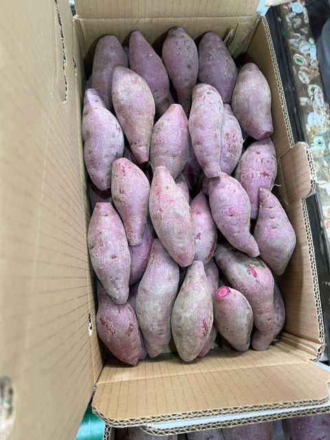 PURPLE SWEET POTATO - Image 4