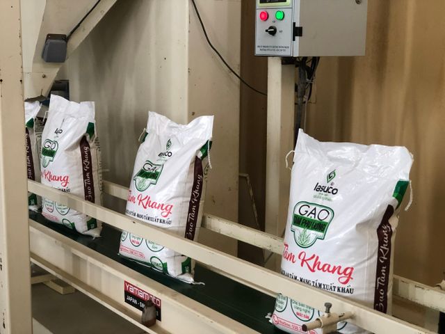 Hot Sale Japonica Rice For Cooking Making Sushi 25kg PP Bag Natural Aroma OEM Vietnam - Image 3