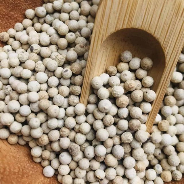 Natural Sun Dried White Pepper Whole Spice For Food Manufacturers And Bulk Ingredient Buyers White Pepper With Clean Flavor - Image 4