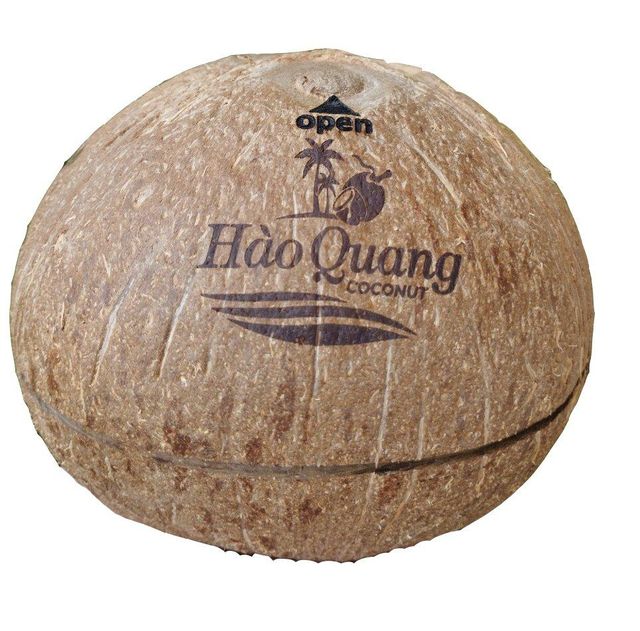 Semi husk mature coconut - Image 3