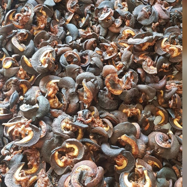 100% High Quality Edible Snails Dries Snails Giant African Land Snails for Sale Dried at Cheap Price - Image 1